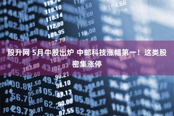股升网 5月牛股出炉 中邮科技涨幅第一！这类股密集涨停