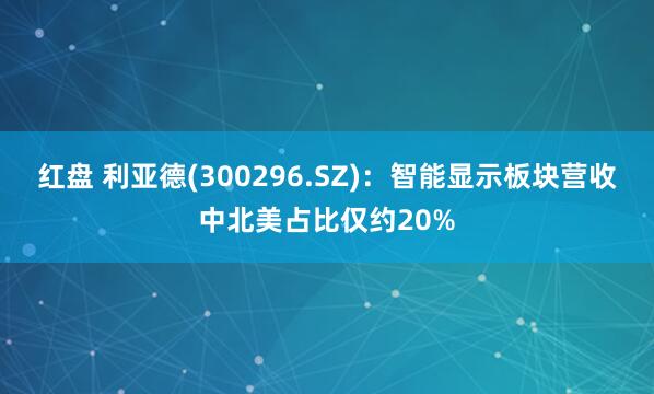 红盘 利亚德(300296.SZ)：智能显示板块营收中北美占比仅约20%