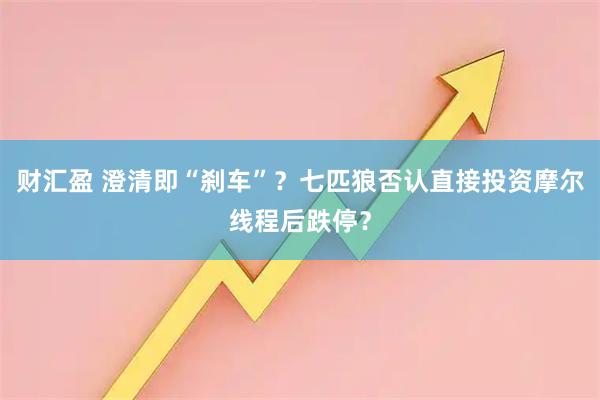 财汇盈 澄清即“刹车”？七匹狼否认直接投资摩尔线程后跌停？