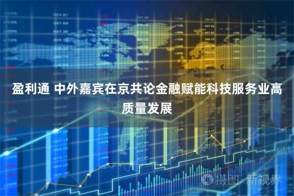 盈利通 中外嘉宾在京共论金融赋能科技服务业高质量发展