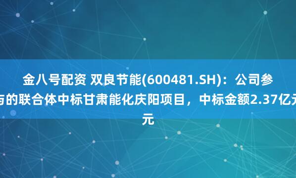 金八号配资 双良节能(600481.SH)：公司参与的联合体中标甘肃能化庆阳项目，中标金额2.37亿元