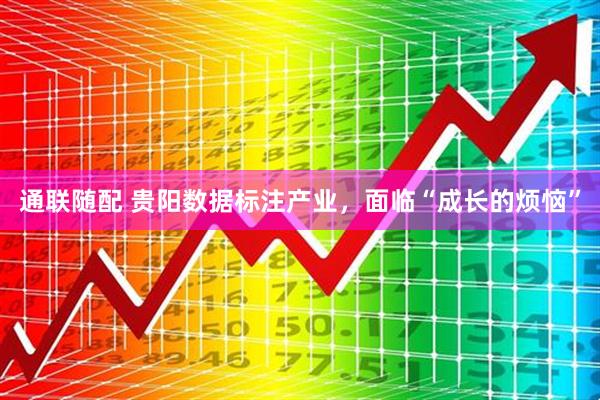 通联随配 贵阳数据标注产业，面临“成长的烦恼”