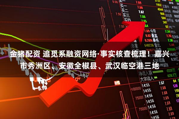 金猪配资 追觅系融资网络·事实核查梳理！嘉兴市秀洲区、安徽全椒县、武汉临空港三地